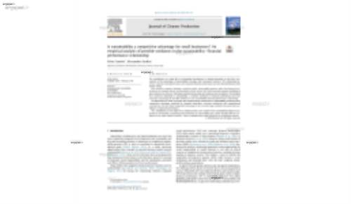 Is sustainability a competitive advantage for small businesses? An empirical analysis of possible mediators in the sustainabilityefinancial performance relationship